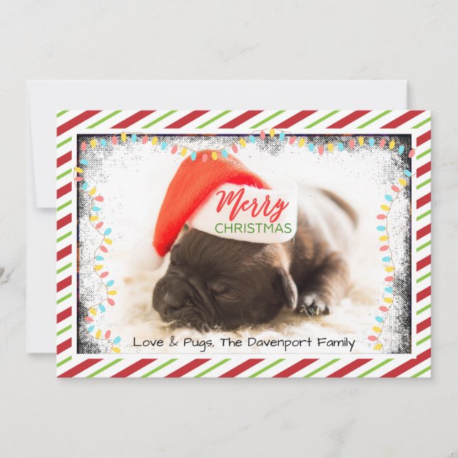 Christmas Pug in Santa Hat with Christmas Lights Holiday Card (Front)