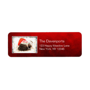 Christmas Pug in Santa Hat with Christmas Lights Return Address Label