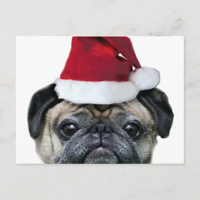 Christmas pug postcard (Front)