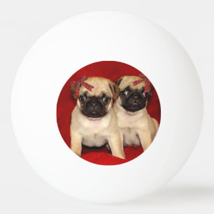 Christmas pug puppies ping pong ball