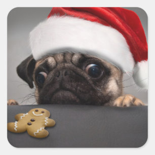 Christmas Pug Square Sticker