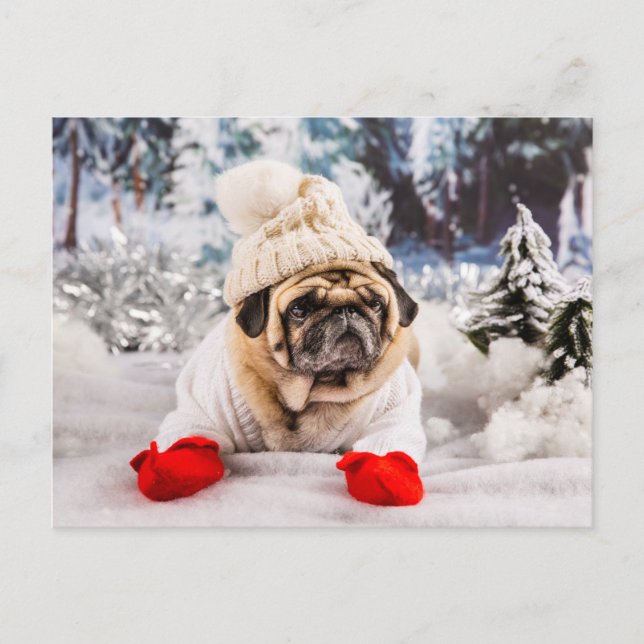 Christmas Pug Wearing Gloves and Hat Postcard (Front)