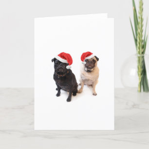 christmas pugs holiday card