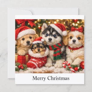 Christmas Puppies Holiday Card