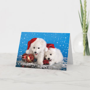 Christmas Puppies White Pomeranian Spitz Holiday Card