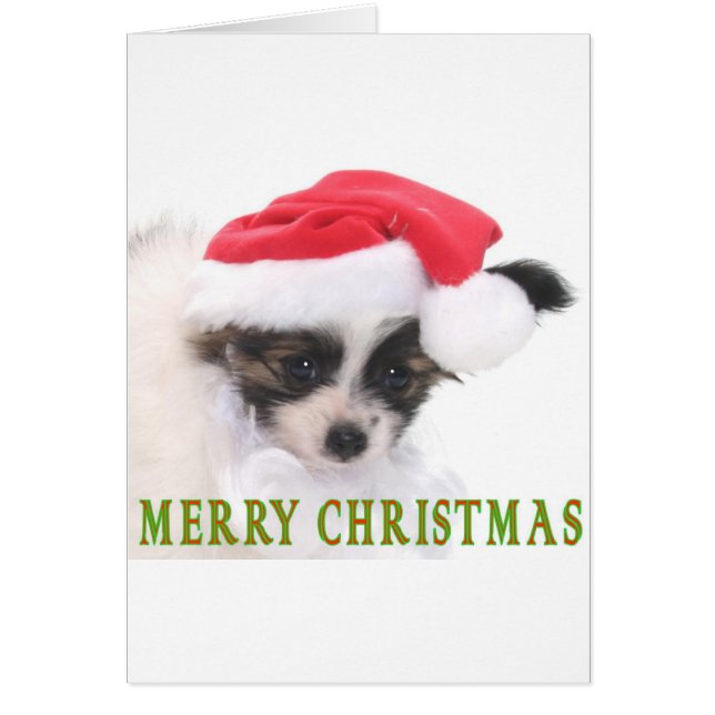 CHRISTMAS PUPPY (Front)