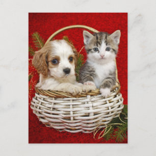 Christmas puppy and kitten in basket together holiday postcard