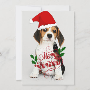 Christmas Puppy Card