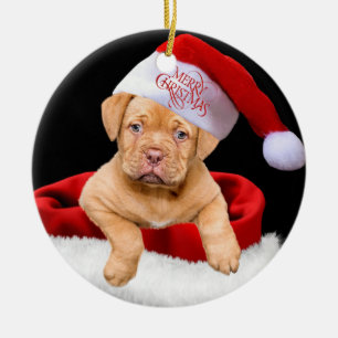 Christmas Puppy Ceramic Ornament