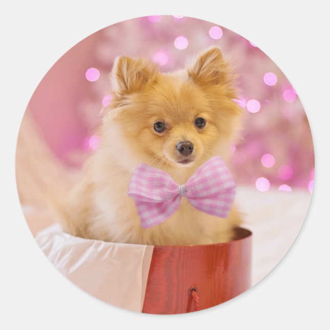 Christmas Puppy Classic Round Sticker (Front)