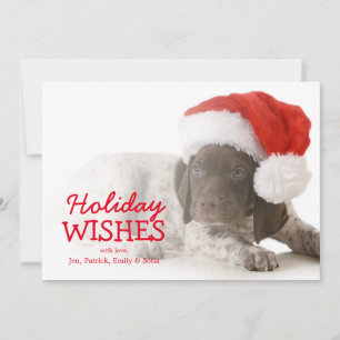Christmas Puppy — German Shorthaired Pointer Holiday Card