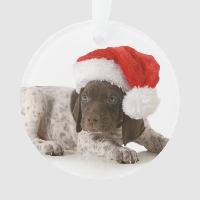 Christmas Puppy - German Shorthaired Pointer Ornament (Front)