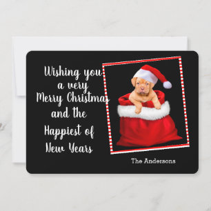 Christmas Puppy Holiday Card