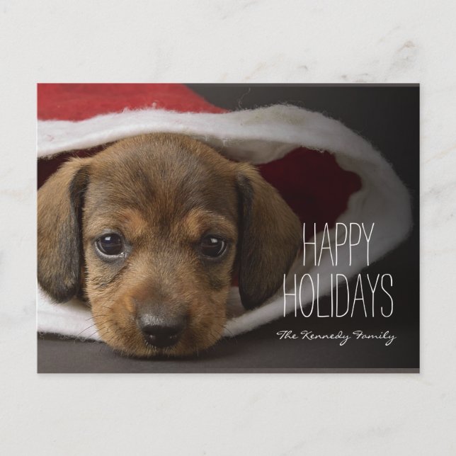 Christmas puppy holiday postcard (Front)