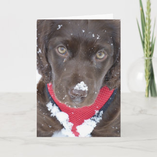 Christmas Puppy Snow Card