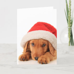 Christmas Puppy Wearing A Santa Hat Holiday Card