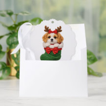 Christmas Puppy Winter Knit