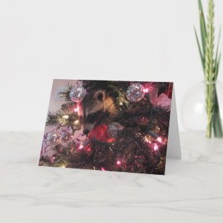 Christmas Racoon Holiday Card