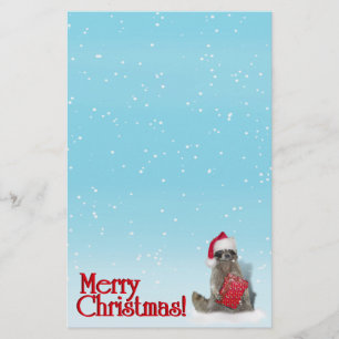 Christmas Racoon with Present Stationery