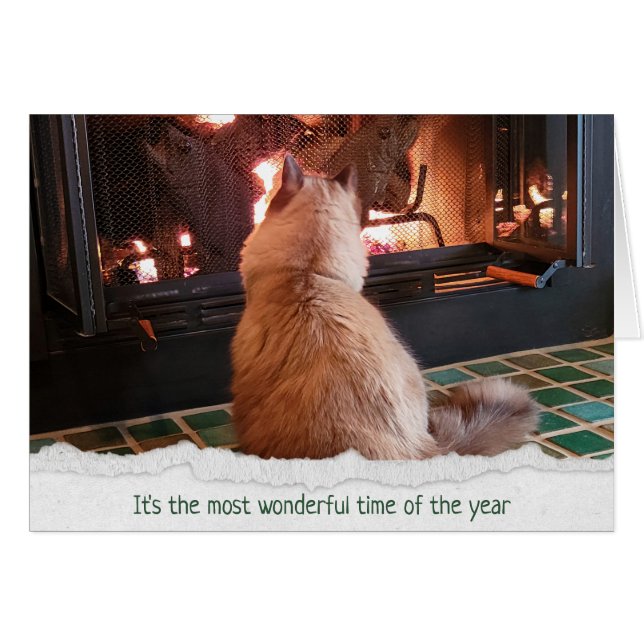 Christmas Ragdoll Cat By Fireplace (Front Horizontal)