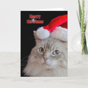 Christmas Ragdoll Cat Holiday Card