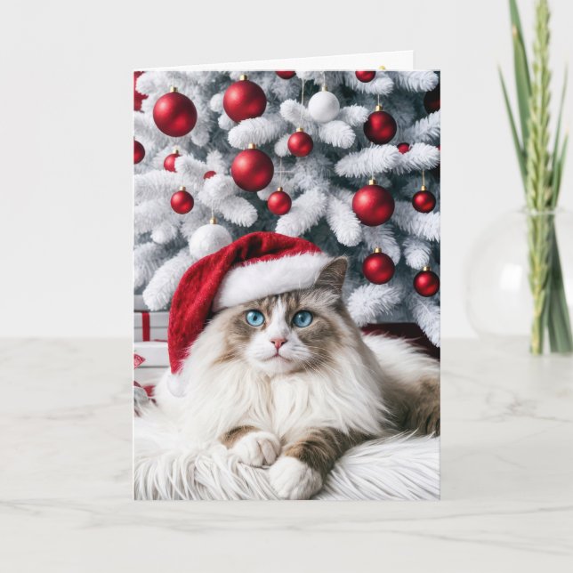 Christmas Ragdoll Cat In a Santa Hat Card (Front)