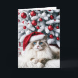 Christmas Ragdoll Cat In a Santa Hat Card<br><div class="desc">A fluffy Ragdoll cat with striking blue eyes wears a Santa hat sitting elegantly in front of a Christmas tree adorned with red and white ornaments</div>