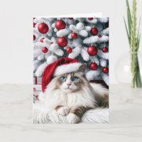 Christmas Ragdoll Cat In a Santa Hat