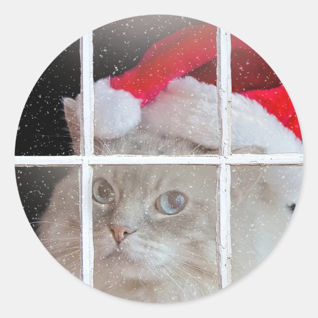 Christmas Ragdoll Cat in window Classic Round Sticker (Front)