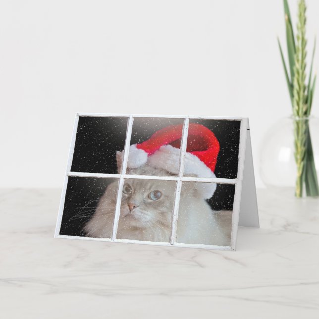Christmas Ragdoll Cat in Window  Holiday Card (Front)