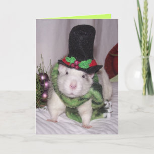 Christmas Rattie Holiday Card