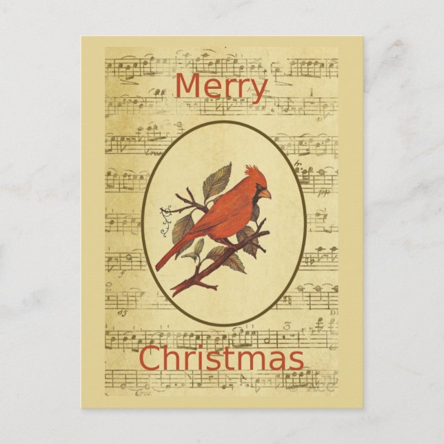 Christmas Red Bird Cardinal Music Holiday Postcard (Front)