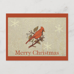 Christmas Red Bird Cardinal Snow Holiday Postcard
