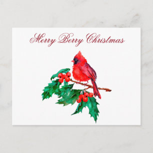 Christmas Red Cardinal Bird on Holly Berry Branch Postcard