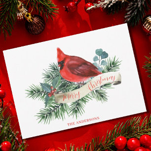 Christmas Red Cardinal  Holiday Card
