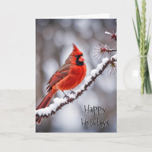 Christmas Red Cardinal On Winter Branch Card