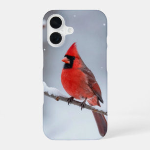 Christmas Red Cardinal Snowy Branch Phone Case