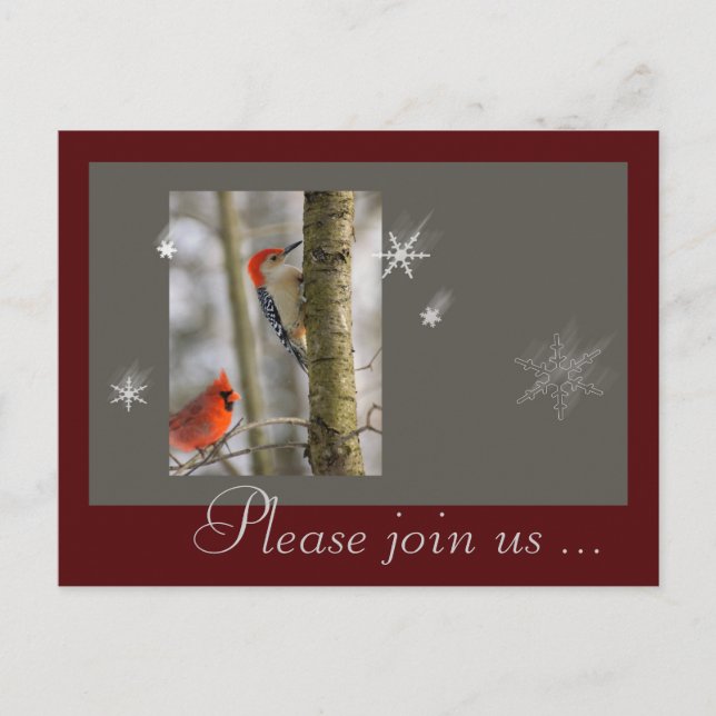 Christmas Red Grey Birds Cardinal Wood Pecker Holiday Postcard (Front)