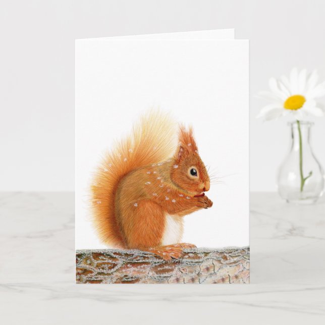 Christmas Red Squirrel Card (Small Plant)