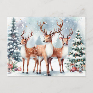  Christmas Reindeer Holiday Postcard