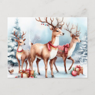  Christmas Reindeer Holiday Postcard