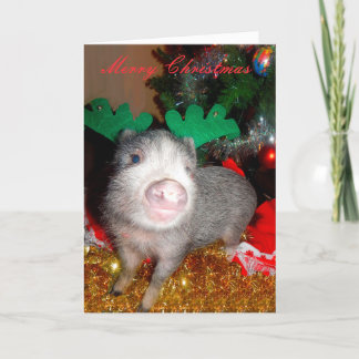 Christmas Reindeer Pig, Greeting Card
