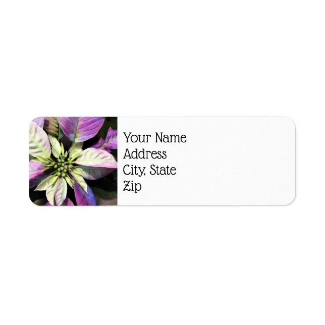 Christmas Return Address Labels- Lav Poinsettias Label (Front)