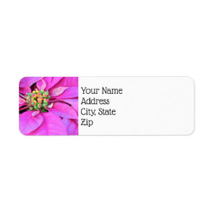 Christmas Return Address Labels - Pink Poinsettia
