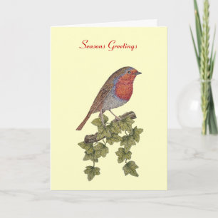 christmas robin and ivy illustration wildlife art holiday card