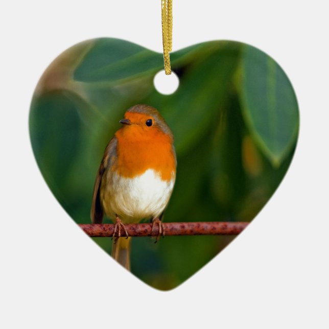 Christmas Robin Ceramic Tree Decoration (Front)