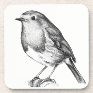 Christmas robin fun coaster
