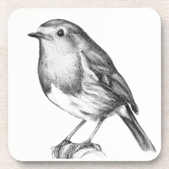 Christmas robin fun  coaster (Front)