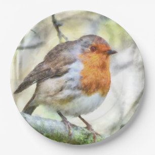 Christmas Robin Redbreast Winter Watercolor Paper Plate