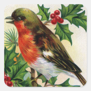 Christmas Robin Vintage Illustration Square Sticker